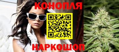 прущие грибы Севастополь