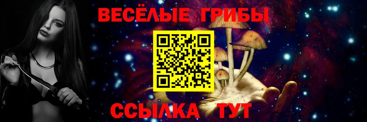 Галлюциногенные грибы мухоморы Рузаевка